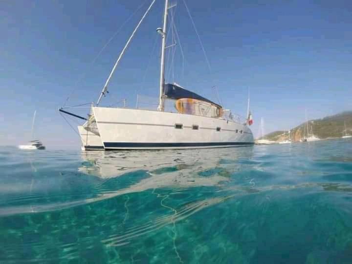 Catamaran Cypraea Hotel Terre-De-Haut Buitenkant foto
